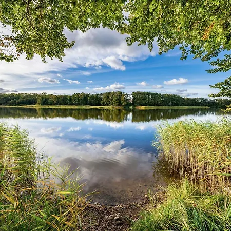 Graureiher - Gemütliche Mit Sauna, Bootsverleih&naturerlebnis * Jabel